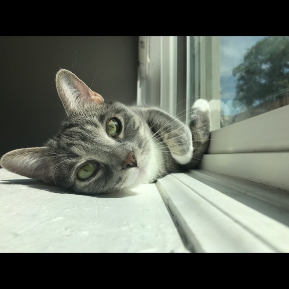 Meet your Posher, Liz - Picture 1 of 1